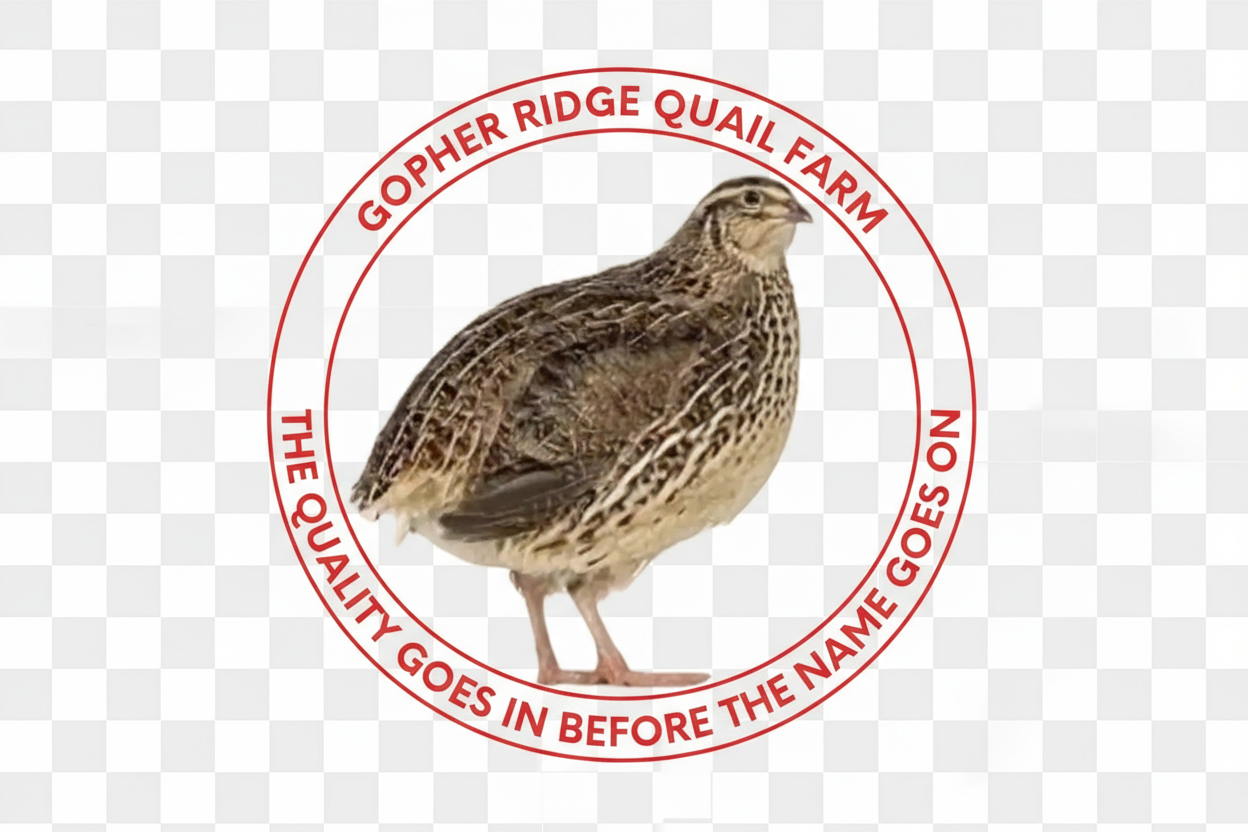 Gopher Ridge Jumbo Browns