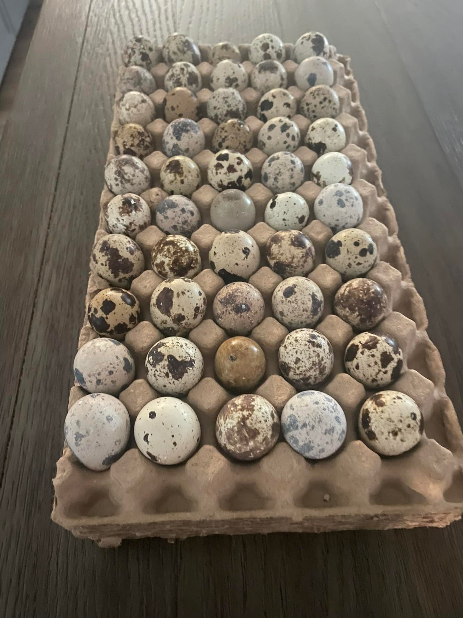 Quail Eggs